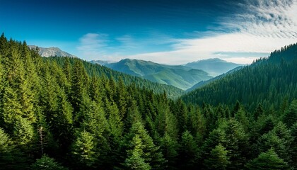 Fototapeta premium landscape with mountains