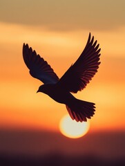 Fototapeta premium Bird flying at sunset