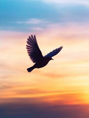 Bird flying at sunset