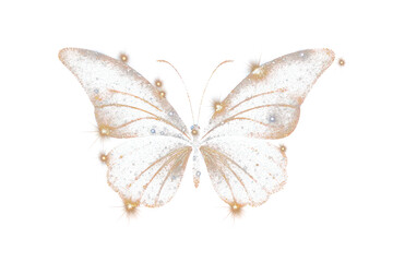 Fototapeta premium PNG Butterfly animal insect nature.