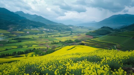 Captivating Canola Fields Amidst Majestic Yunnan Mountains