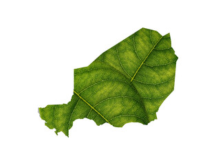 Niger map made of green leaves ecology concept
