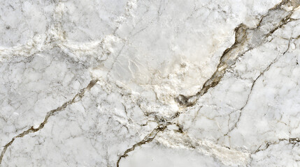 Fototapeta premium Polished Marble Surface with Veining