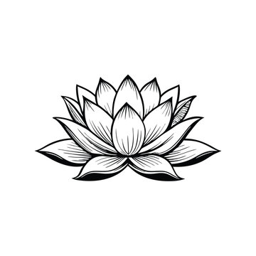 a lotus lily water flower in a vintage woodcut engraved etching style silhouette vector art illustration,  