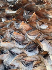 Natural Texture of palm bark close up. Tropical background. Vertical wooden texture.