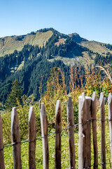 Fototapeta premium Berglandschaft im Mannheimer Tal
