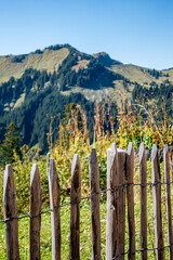 Berglandschaft im Tannheimer Tal