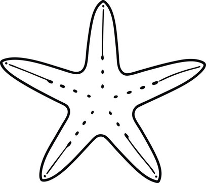 recommend clip art: starfish silhouette vector illustration .