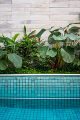 vista de piscina e jardim