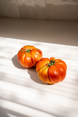 tomates frescos sobre fundo branco iluminados pelo sol