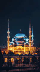 Naklejka premium Blue Mosque illuminated at night creates stunning visual spectacle