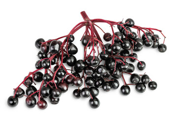 Ripe black elderberry or elder isolated on a white background. Sambucus. Top view. Flat lay