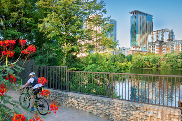 A scenic moment along Austin's Lady Bird Lake Trail. In the foreground, vibrant red flowers stand...