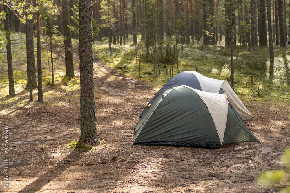 Fototapete Two camping tents are set up in a quiet forest clearing with tall trees and soft sunlight filtering through the branches