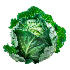 Cabbage. Isolated on transparent background.