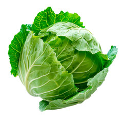 Obraz premium Cabbage. Isolated on transparent background.