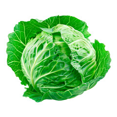 Obraz premium Cabbage. Isolated on transparent background.