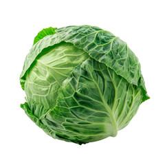 Fototapeta premium Cabbage. Isolated on transparent background.