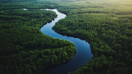 Aerial view of a winding river in a lush green forest.