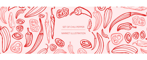 Hand drawn chili pepper, line art vector isolated set. Chili pepper outline. Red on the white background. Jalapeno.