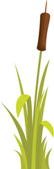 This cartoon illustration of a bulrush growing is perfect for projects about nature and wetlands