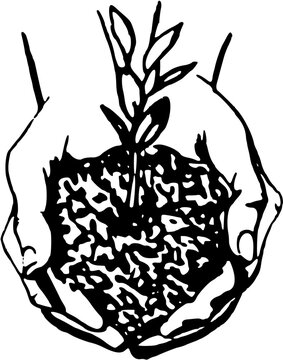 hands holding plant black and white clip art preview