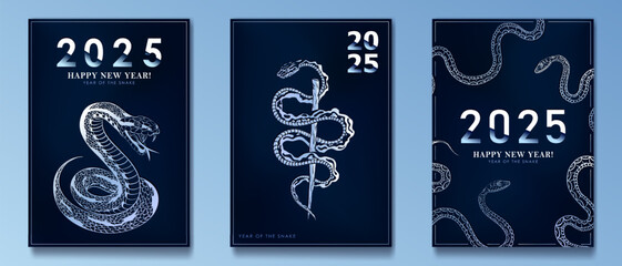 Set of blue and silver invitation poster scelebrating the 2025 New Year of the Snake with a detailed linear decorated snakes. Minimalist Greeting cards with reptile mascot for Christmas holidays