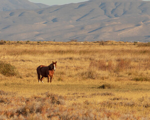 Las playitas Cuatro Cienegas, Coahuila, Mexico 