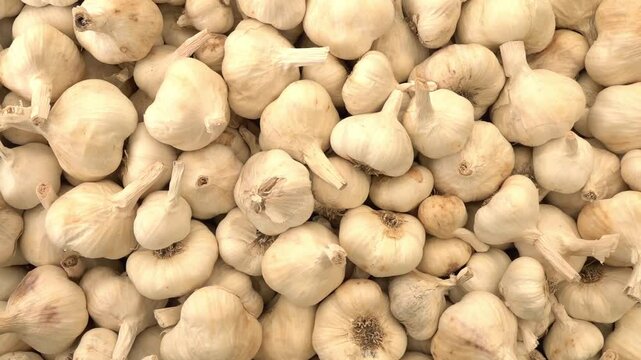 Pile of dry garlics in market. Garlic bulbs