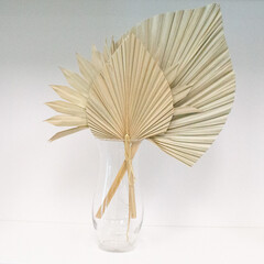 dried palm fan