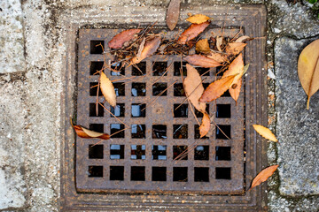 Mit Herbstlaub verstopfter Abwasserschacht am Strassenrand