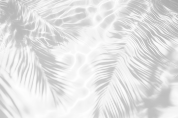 PNG Palm leaves shadow on water background abstract texture.