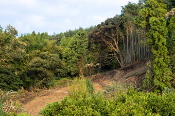 土砂崩れの風景、愛知県蒲郡市竹谷町大久古、日本