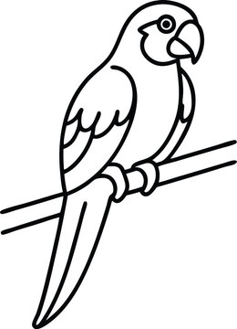 recommend clip art: Vector Line Art of Macaw on a Branch for Kids to Color
                    