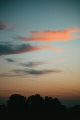 Pastellfarbener Himmel bei Sonnenuntergang über Baumkronen