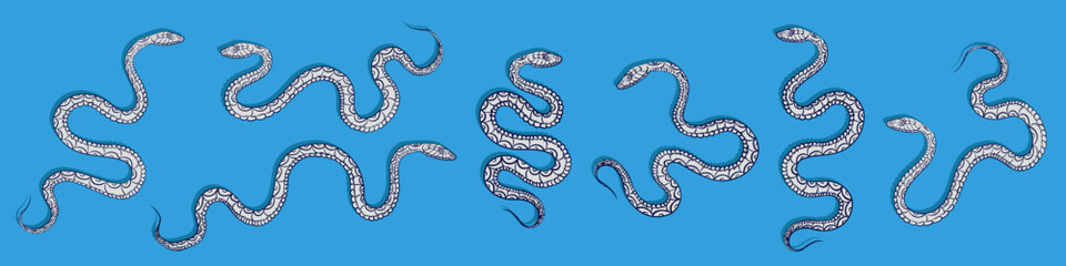 Obraz premium Set of hand drawn blue and silver linear coiled snakes various shapes isolated on cyan background. Outline art of reptiles as a decorative element for t-shirt design, tattoo, poster, sticker, logo