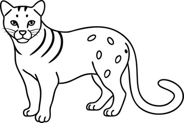 Wild Elegance Ocelot Crouch Vector Line Art
