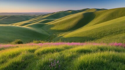 Obraz premium Lush green hills with blooming flowers under a serene sky at dawn.