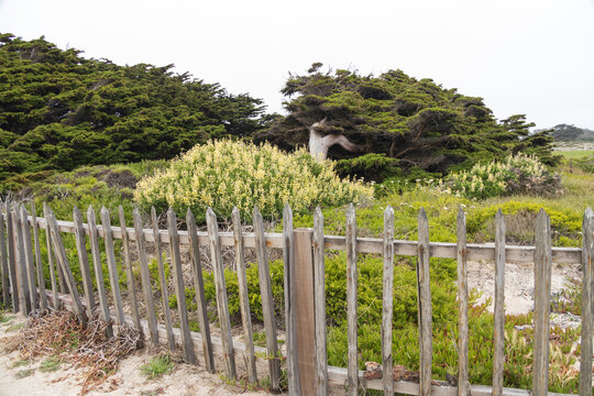 Old wooden fence on the beach