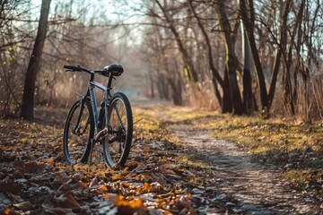 Fototapeta premium person riding a bike in the park