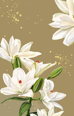 flower natural cute beautiful background
