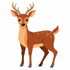 deer illustration