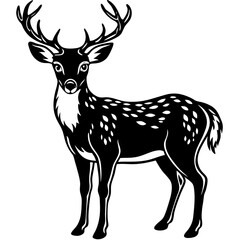 Obraz premium silhouette of a deer