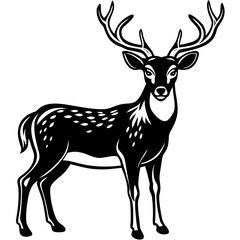 Fototapeta premium deer silhouette vector