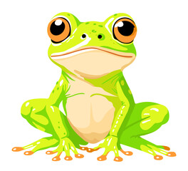 Frog. Cute bright vector illustration isolated on white background
