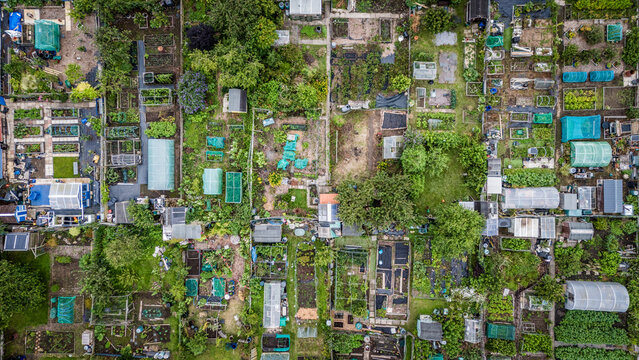 Community gardens