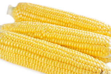 Fresh yellow sweet corn background, corncob with yellow and white grains close up.