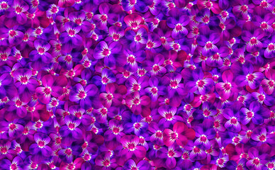 Fototapeta premium colorful abstract background of purple red violets. floral texture background