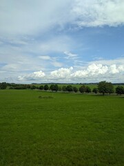 Expansive green meadow under a bright sky with fluffy clouds, featuring rows of trees and distant rural scenery, evoking tranquility and natural beauty