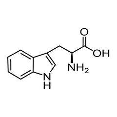 Chemical structural formula of amino acid, tryptophan
